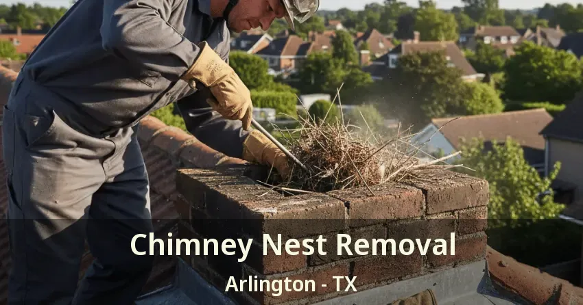 Chimney Nest Removal Arlington - TX
