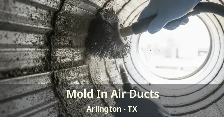 Mold In Air Ducts Arlington - TX Mold In Air Ducts Arlington - TX