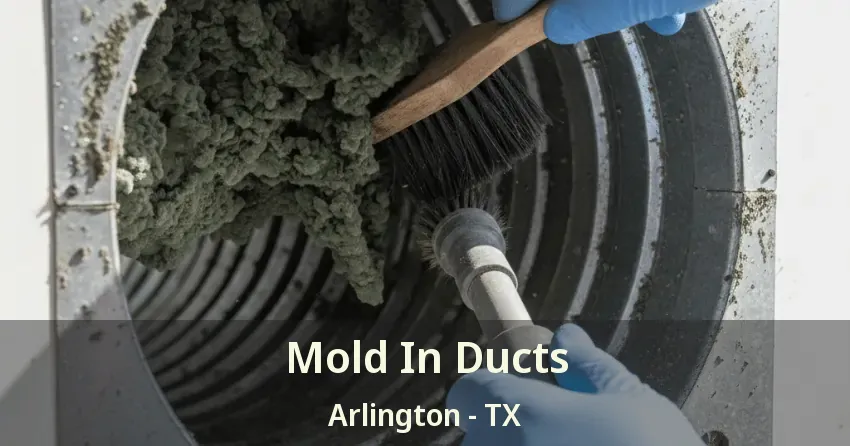 Mold In Ducts Arlington - TX