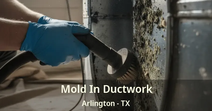 Mold In Ductwork Arlington - TX