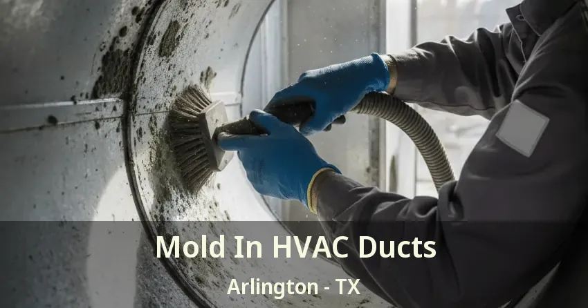 Mold In HVAC Ducts Arlington - TX