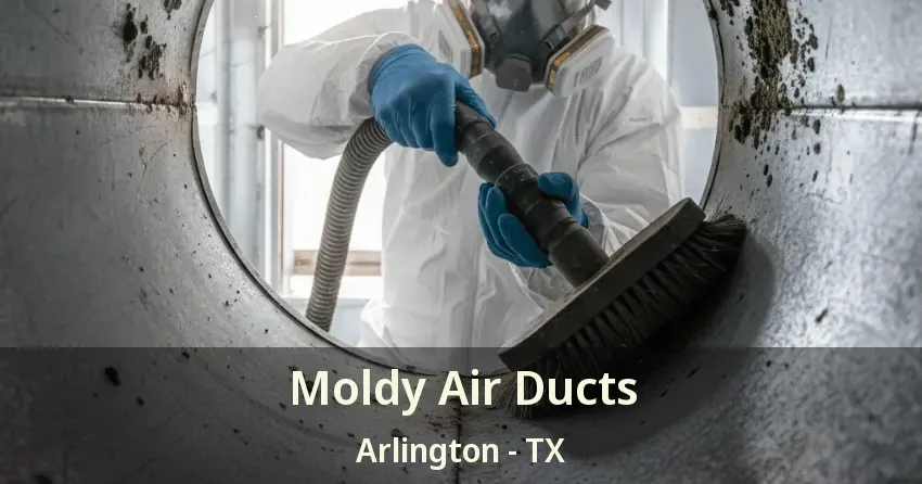 Moldy Air Ducts Arlington - TX